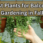 Best Plants for Balcony Gardening in Fall (Low-Care Winners)