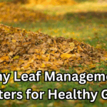 Why Leaf Management Matters for Healthy Grass (Mulch vs Rake)