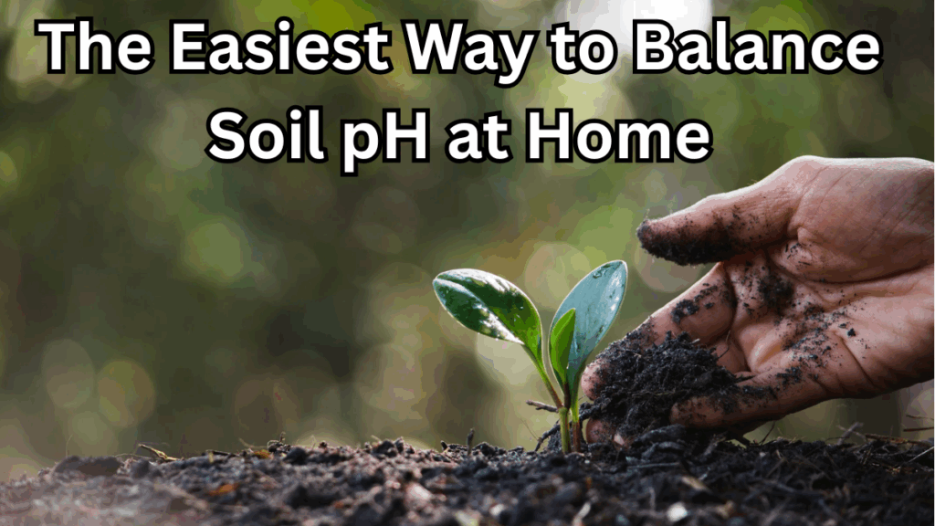 The Easiest Way to Balance Soil pH at Home (Safely)