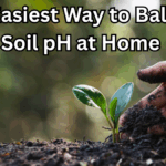 The Easiest Way to Balance Soil pH at Home (Safely)