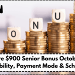 Singapore $900 Senior Bonus October 2025 – Eligibility, Payment Mode & Schedule