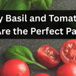 Why Basil and Tomatoes Are the Perfect Pair