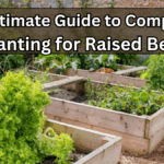 The Ultimate Guide to Companion Planting for Raised Beds