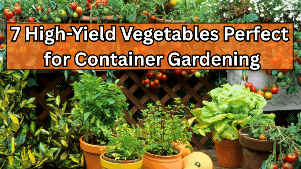 7 High-Yield Vegetables Perfect for Container Gardening