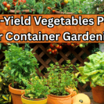 7 High-Yield Vegetables Perfect for Container Gardening